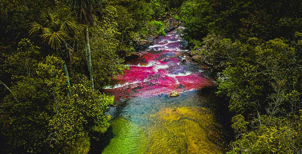 riviere-cano-cristales Rivière cano cristales en colombie